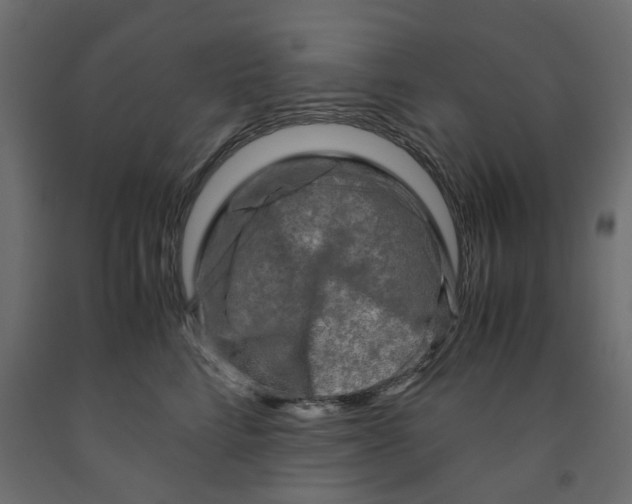 X0000091980712200710041110
