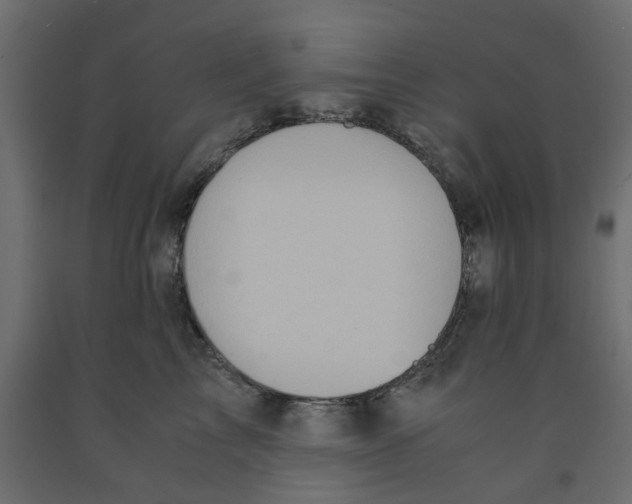 X0000091980713200710041110