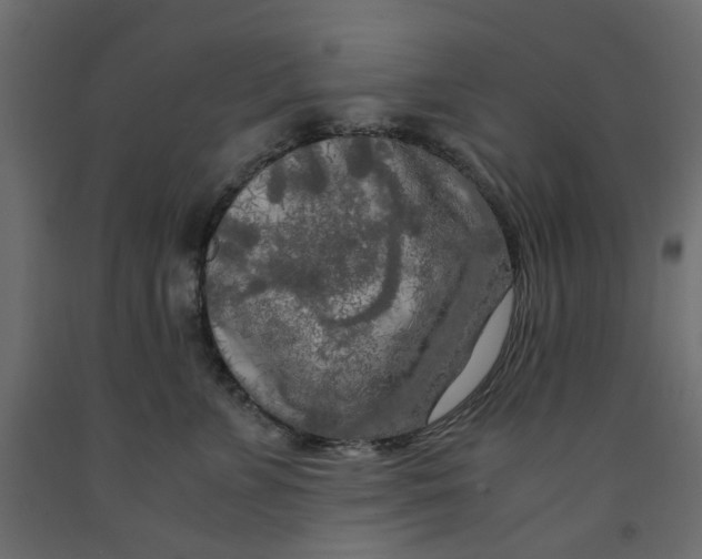 X0000091980715200710041109