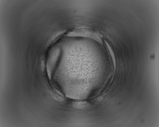 X0000091980716200710041109