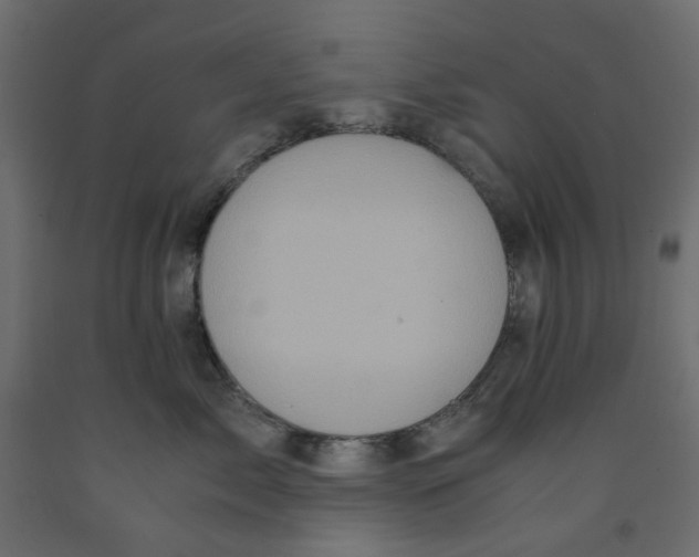 X0000091980717200710041109