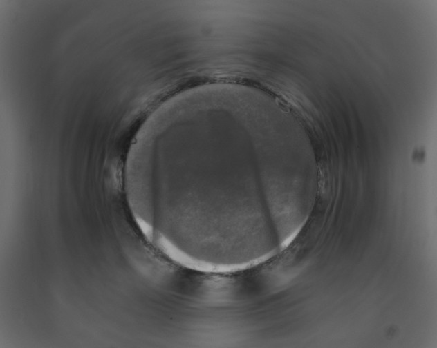 X0000091980718200710041109