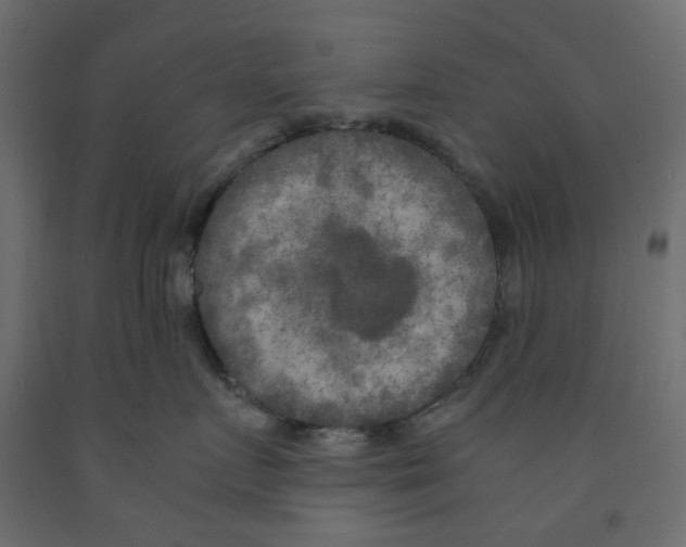 X0000091980719200710041109