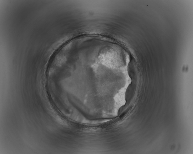 X0000091980721200710041109