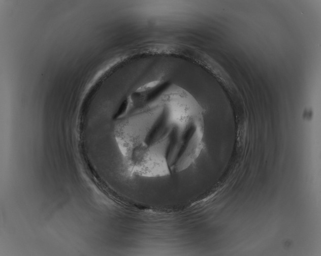 X0000091980722200710041109