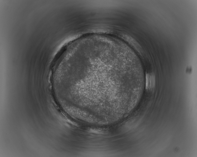 X0000091980723200710041109