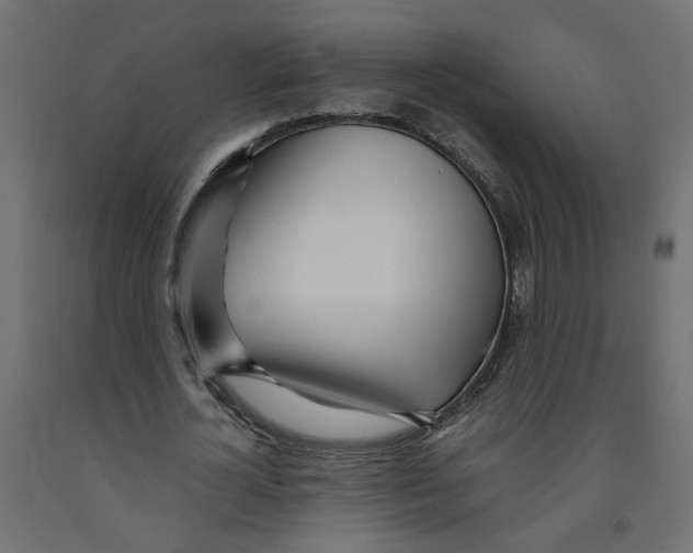 X0000091980724200710041109