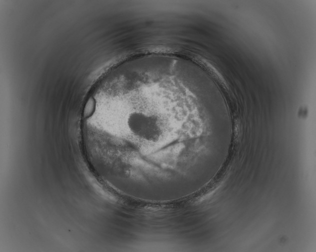 X0000091980725200710041109