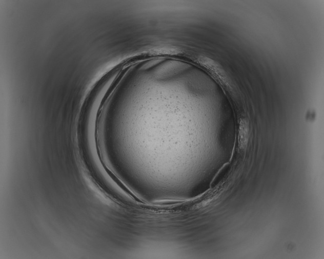 X0000091980726200710041109