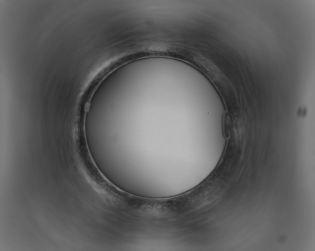 X0000091980728200710041109