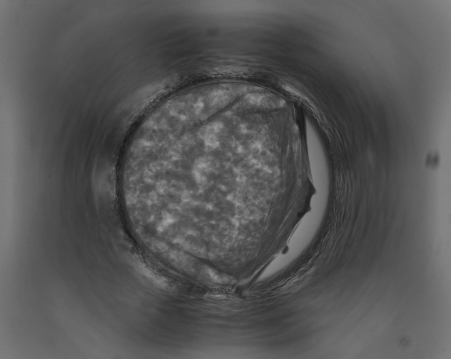X0000091980729200710041109