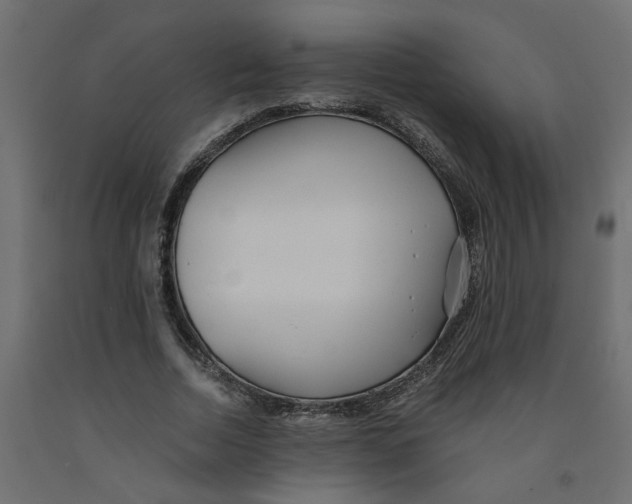 X0000091980730200710041109