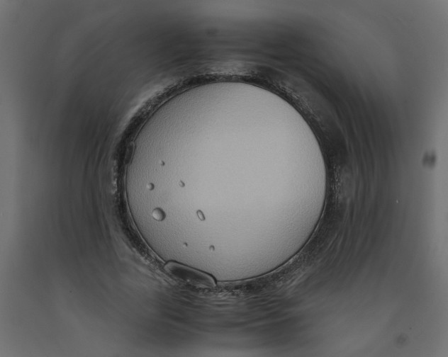 X0000091980731200710041109