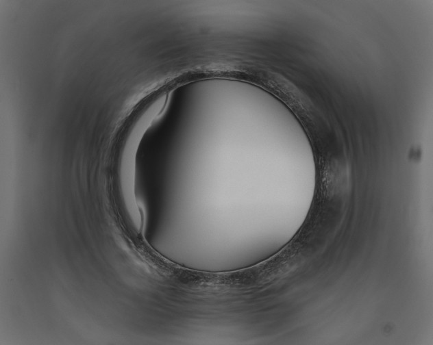 X0000091980732200710041109