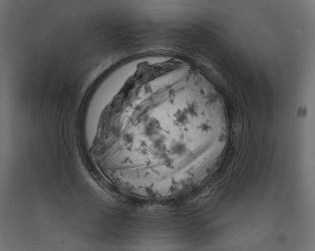 X0000091980734200710041109