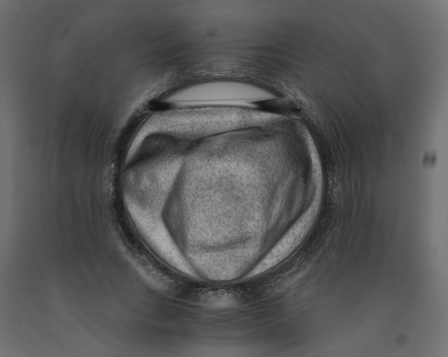 X0000091980735200710041109