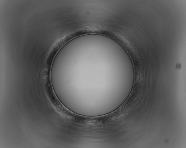 X0000091980736200710041109