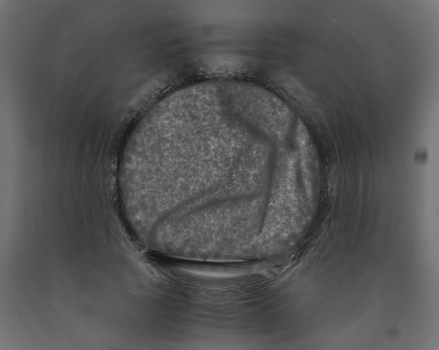 X0000091980737200710041109