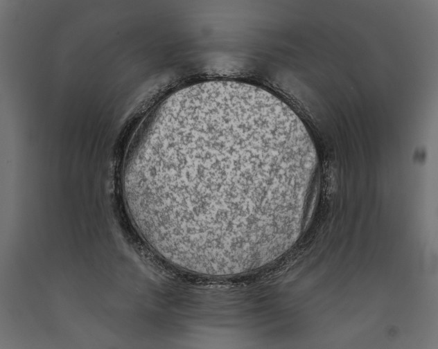 X0000091980738200710041109