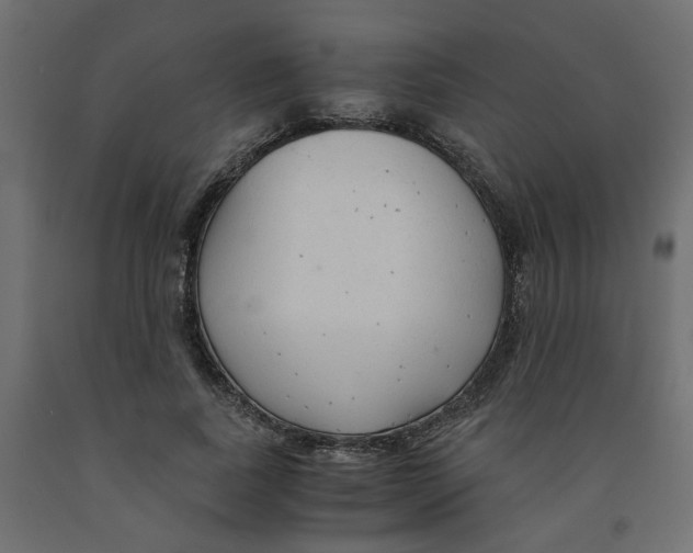 X0000091980739200710041109