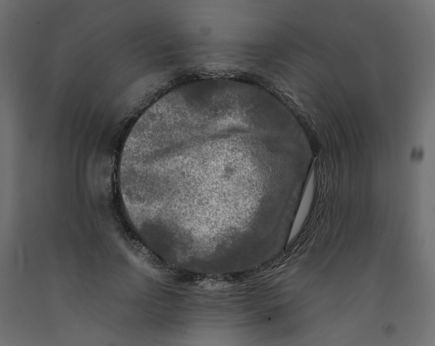 X0000091980742200710041109