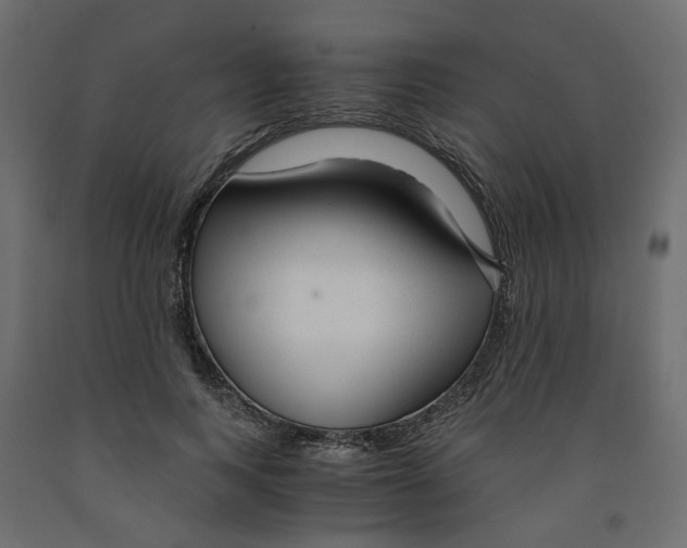 X0000091980743200710041109