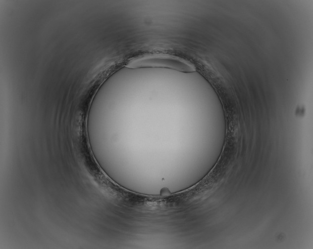 X0000091980744200710041109