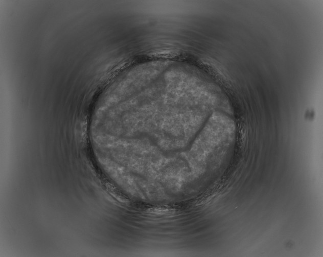 X0000091980745200710041109