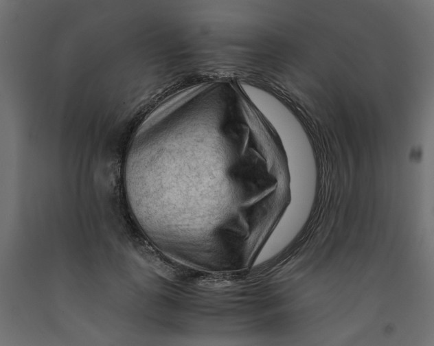 X0000091980747200710041109