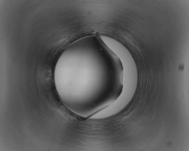 X0000091980748200710041109