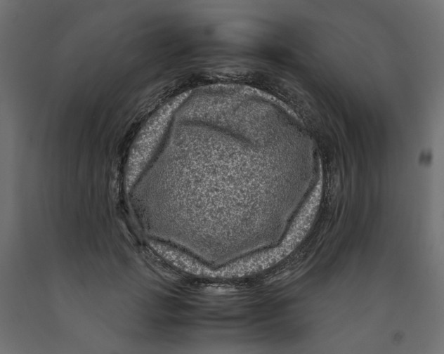 X0000091980749200710041109
