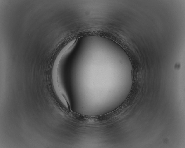 X0000091980750200710041109