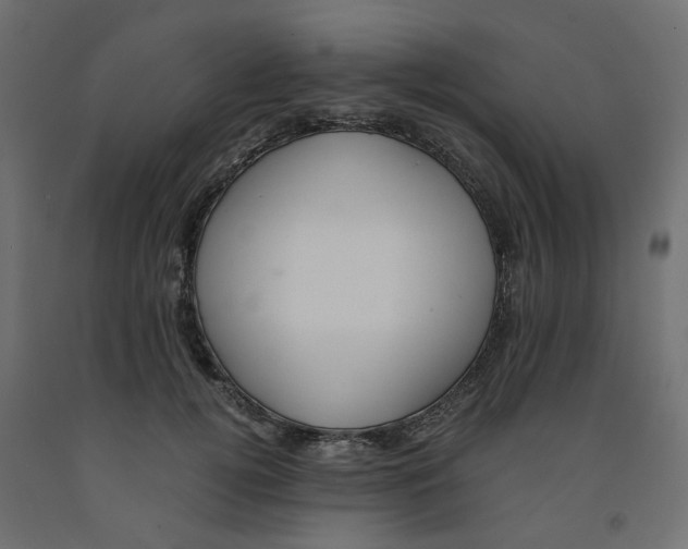 X0000091980752200710041109