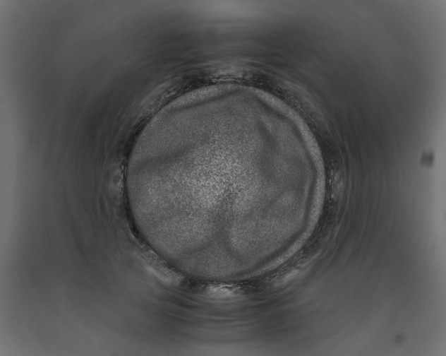 X0000091980753200710041109