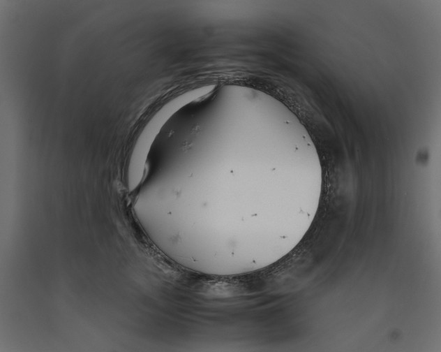 X0000091980755200710041109