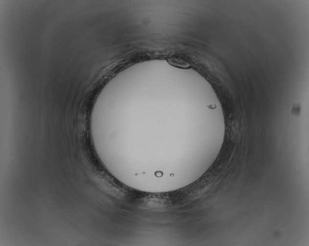 X0000091980756200710041109