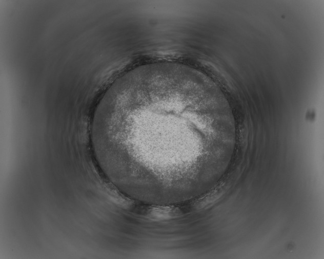 X0000091980757200710041109