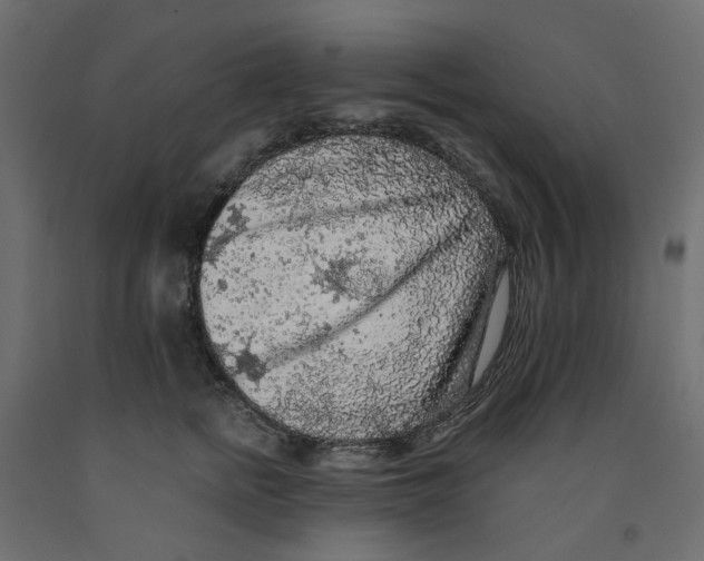 X0000091980758200710041109