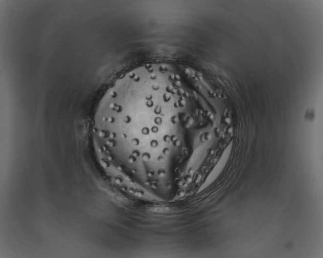 X0000091980759200710041109