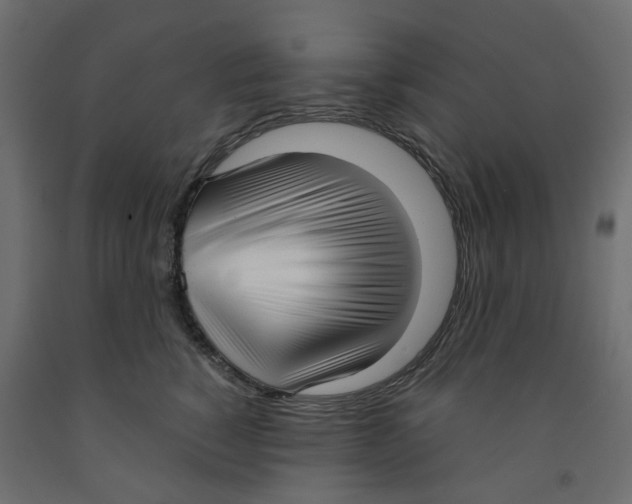 X0000091980760200710041109