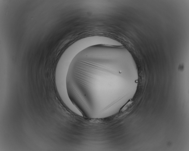 X0000091980762200710041109