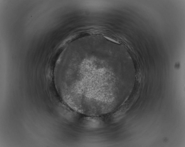 X0000091980763200710041109
