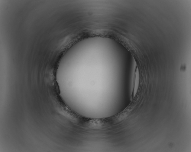 X0000091980764200710041109