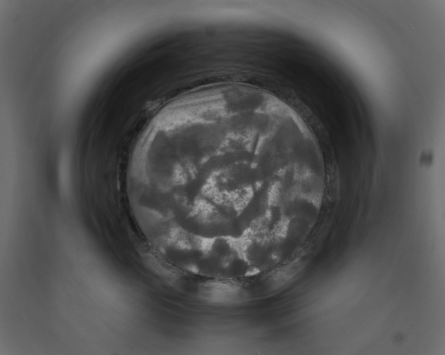 X0000091980765200710041109