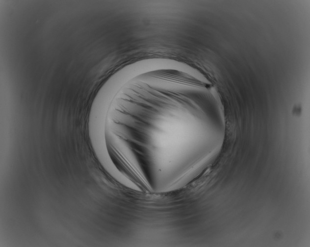X0000091980766200710041109