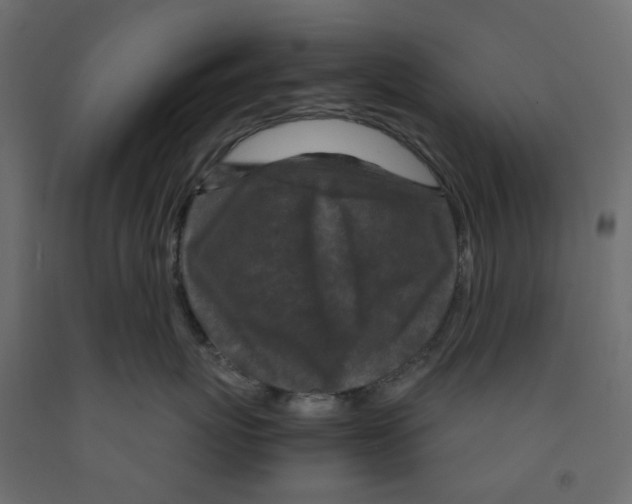 X0000091980767200710041109