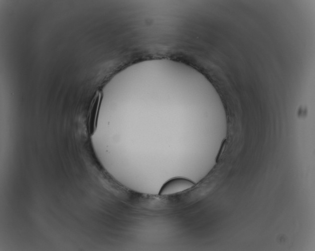 X0000091980768200710041109