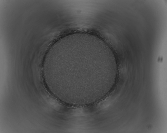 X0000091980769200710041109