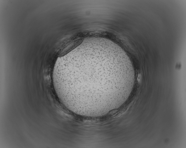 X0000091980771200710041109