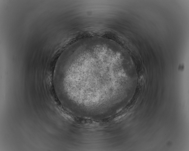 X0000091980772200710041109